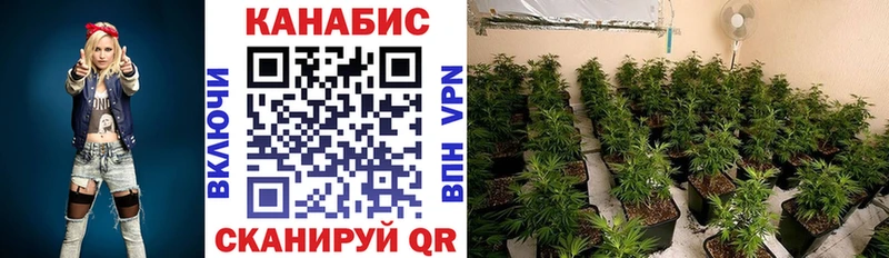 Где продают наркотики Хвалынск A PVP  Меф  КОКАИН  ГАШИШ  Каннабис 